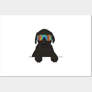 black Labrador puppy Dog wearing 80's skiing sunglasses Posters and Art